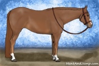 Horse Color:Chestnut Sabino