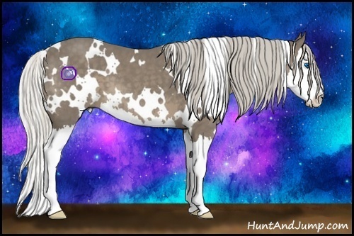 Horse Color:White Spotted Silver Smoky Black Splash 