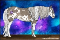 Horse Color:White Spotted Silver Smoky Black Splash 
