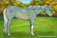 Horse Color:Watercolor Silver Bay