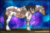 Horse Color:White Spotted Bay Ice 