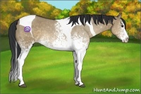 Horse Color:White Spotted Brown Dun Splash Tobiano