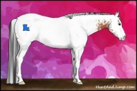 Horse Color:White Spotted Bay 