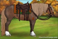 Horse Color:Liver Chestnut Rabicano 