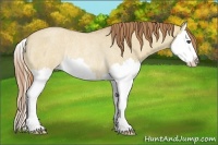 Horse Color:Red Dun Roan Splash Rabicano