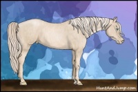 Horse Color:Palomino Pearl  Brindle