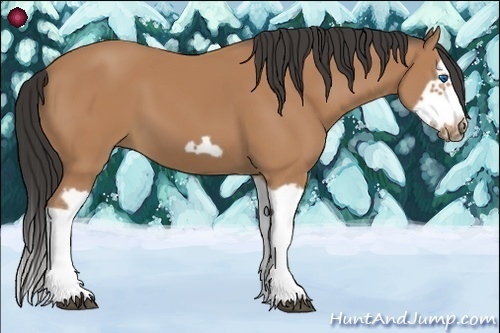 Horse Color:Bay Splash Frame
