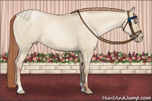 Horse Color:Smoky Grullo Pearl Sabino Frame Rabicano 
