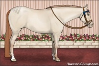 Horse Color:Smoky Grullo Pearl Sabino Frame Rabicano