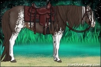 Horse Color:White Spotted Liver Chestnut Sabino