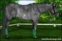 Horse Color:Sable Champagne Chinchilla Ice Rabicano Brindle