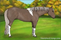 Horse Color:Silver Black Tobiano