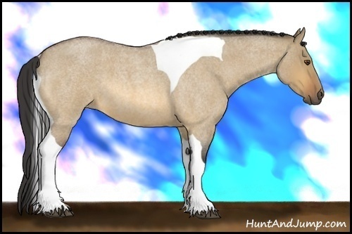 Horse Color:Buckskin Roan Dun Tobiano 