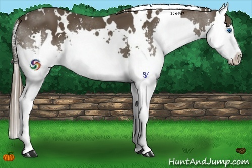 Horse Color:White Spotted Liver Chestnut Splash 