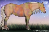 Horse Color:Nacre Silver Bay 