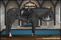 Horse Color:Black Sabino Rabicano 