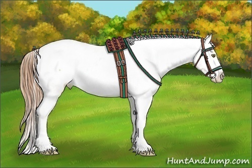 Horse Color:Sable Cream Champagne Appaloosa 