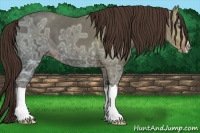 Horse Color:Liver Chestnut Ice 