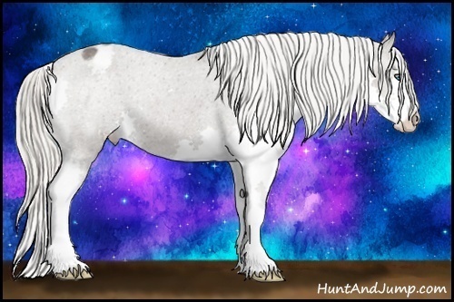 Horse Color:Silver Black Splash Varnish