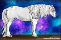 Horse Color:Silver Black Splash Varnish 
