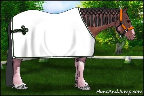 Horse Color:Brown Rabicano 