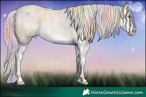 Horse Color:Nacre Gold Cream Champagne Roan Splash Rabicano