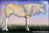 Horse Color:Nacre Gold Cream Champagne Roan Splash Rabicano 