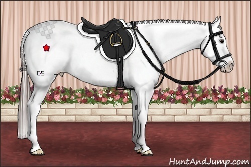 Horse Color:Black Ice Splash Appaloosa 