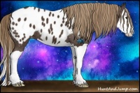 Horse Color:Liver Chestnut Splash Appaloosa 