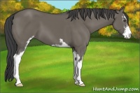 Horse Color:Smoky Grullo Sabino 