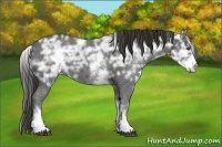Horse Color:White Spotted Liver Chestnut Ice Frame 