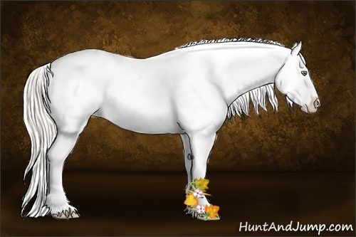 Horse Color:Silver Classic Champagne Roan Dun Splash Tobiano Frame Appaloosa Rabicano 