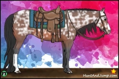 Horse Color:Bay Ice
