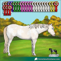 Horse Color:White Spotted Perlino Dun 