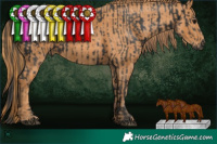 Horse Color:Black  Brindle