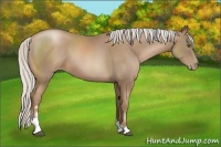 Horse Color:Silver Black Pearl Sabino 