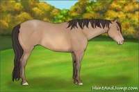Horse Color:Amber Champagne
