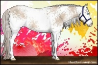 Horse Color:White Spotted Chocolate Palomino Pearl 