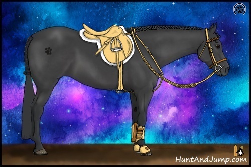 Horse Color:Black Sabino 