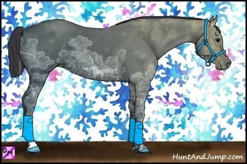 Horse Color:Black Ice Tobiano 