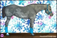 Horse Color:Black Ice Tobiano 