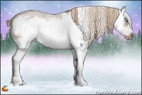 Horse Color:Red Roan Sabino Splash Frame 