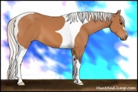 Horse Color:Silver Bay Tobiano 