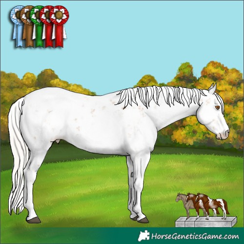 Horse Color:Silver Black Pearl Sabino