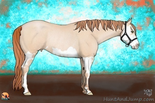 Horse Color:Buckskin Pearl Splash Frame Rabicano 