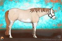 Horse Color:Buckskin Pearl Splash Frame Rabicano