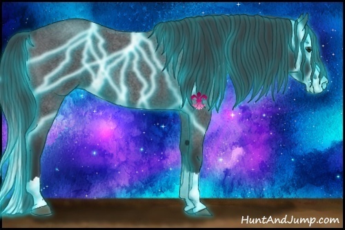 Horse Color:Thunderstruck Blue Roan Splash 