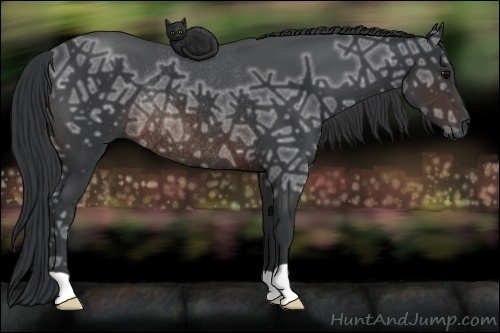 Horse Color:Brown Ice Rabicano 