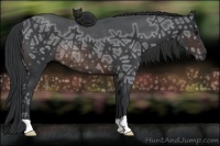 Horse Color:Brown Ice Rabicano 