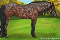 Horse Color:Brown Ice Rabicano